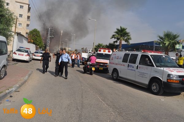 fireludkartoonmasna34 (31).JPG